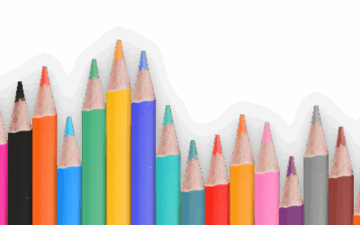 SCUOLA SECONDARIA DI PRIMO GRADO – Edizione 2024 | 25